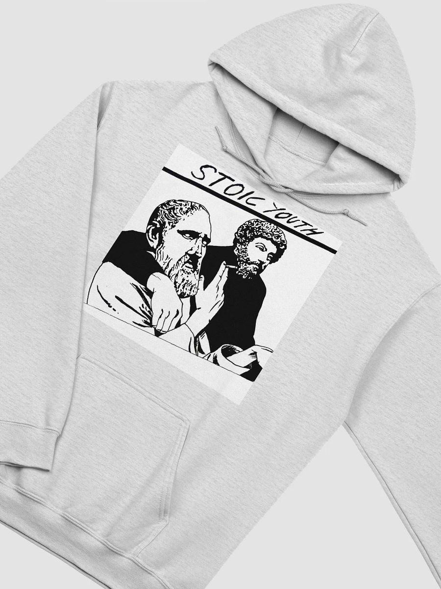 Stoic Youth Gildan Classic Hoodie product image (5)