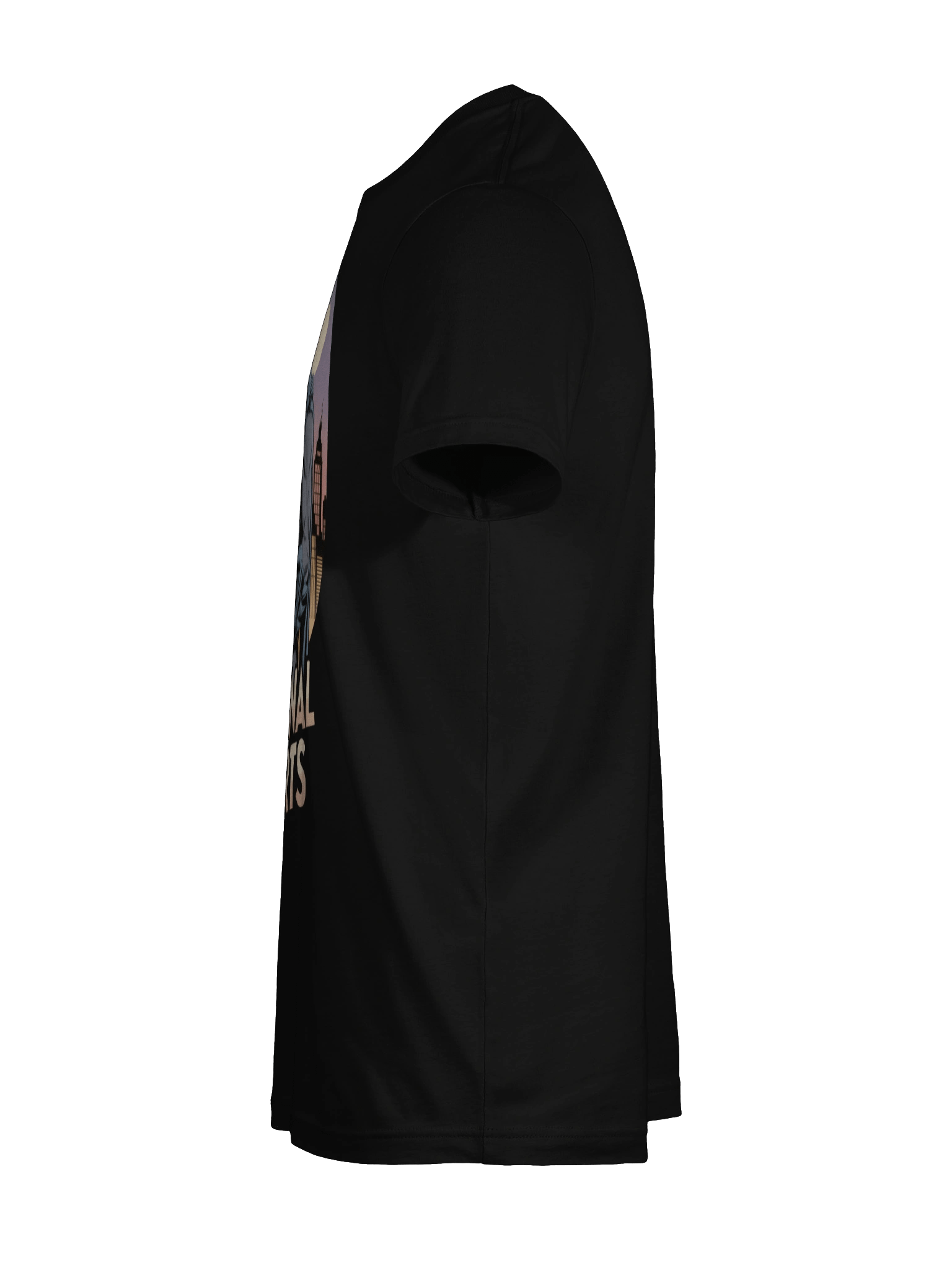 Criminal Hearts: Batman & Catwoman Forbidden Embrace T-Shirt product image (11)