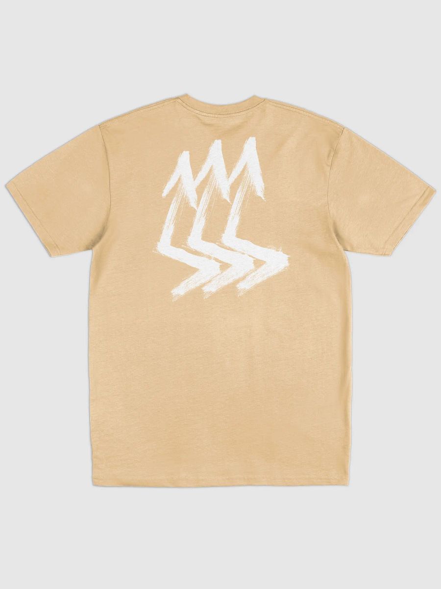 NEVER COMING DOWN product image (21)