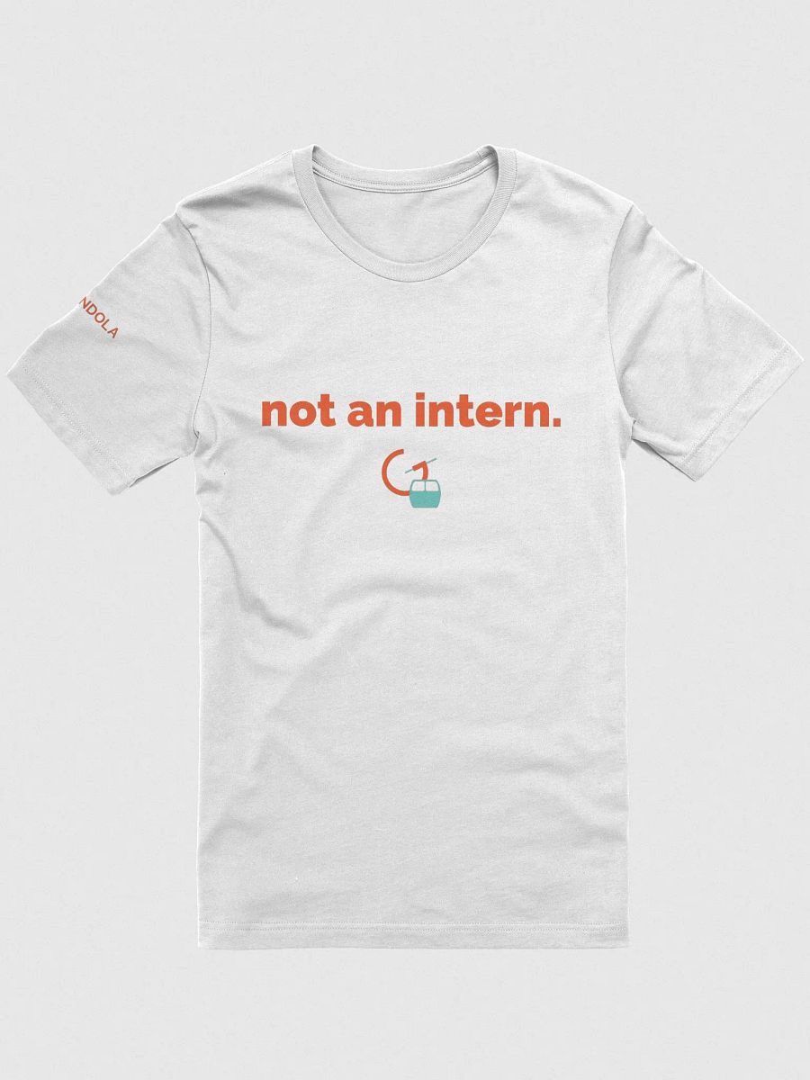 not an intern product image (1)