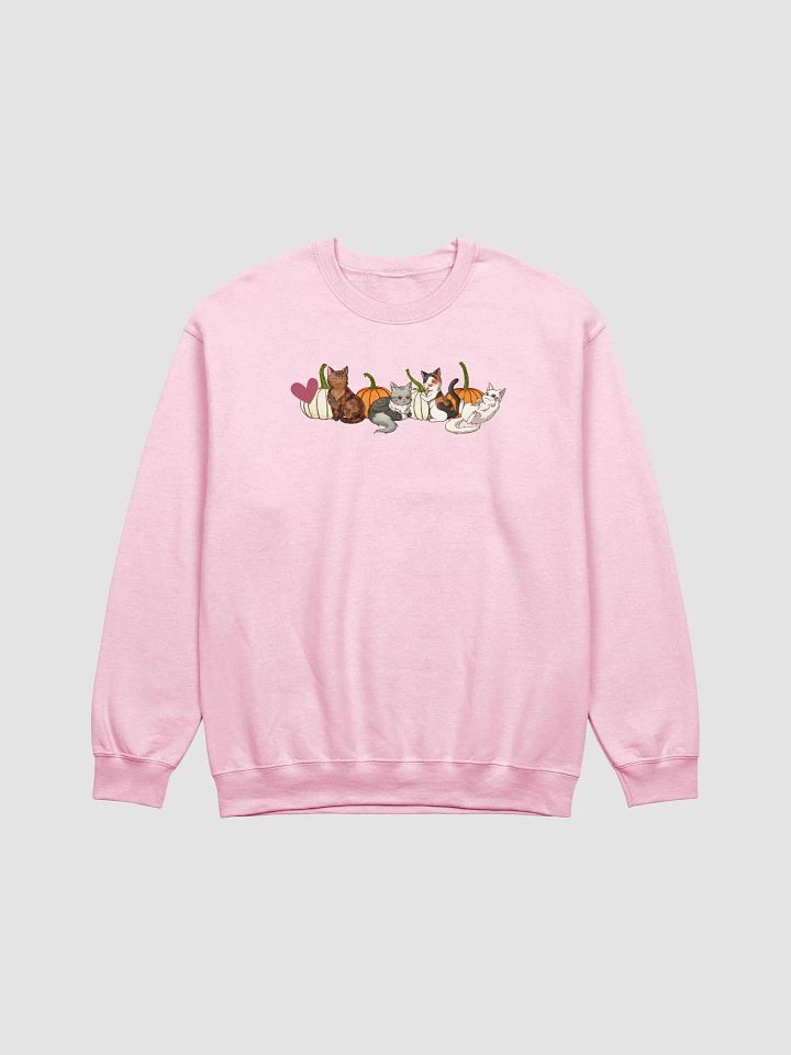 Pumpkin Patch Cats Sweatshirt product image (1)
