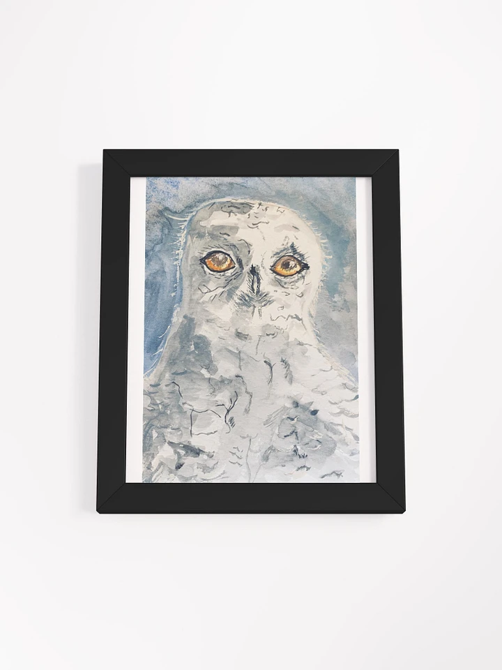 White Owl product image (3)