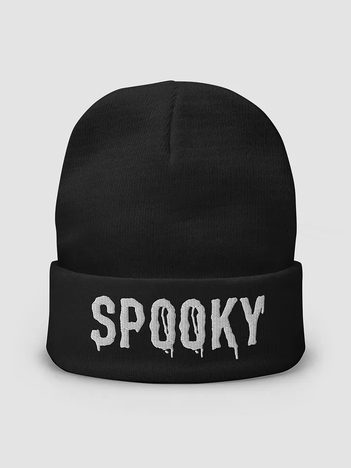SP00KY Beanie product image (2)