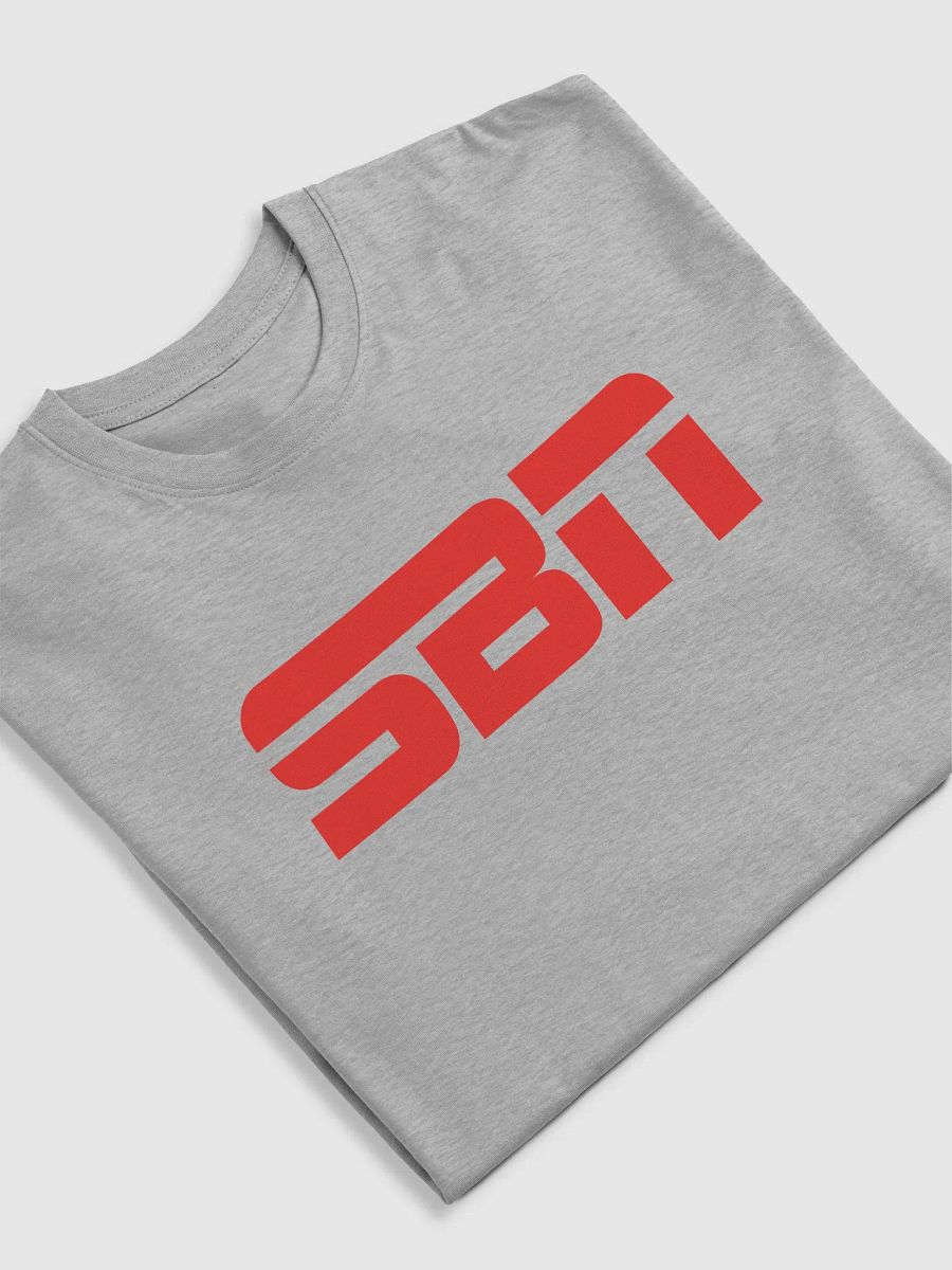SBN Heavyweight T-Shirt Gray product image (5)