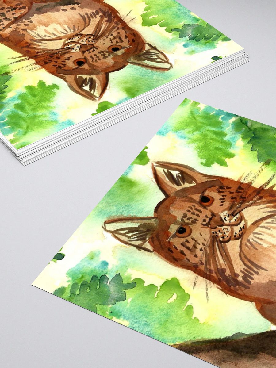 Lynx In A Tree product image (11)
