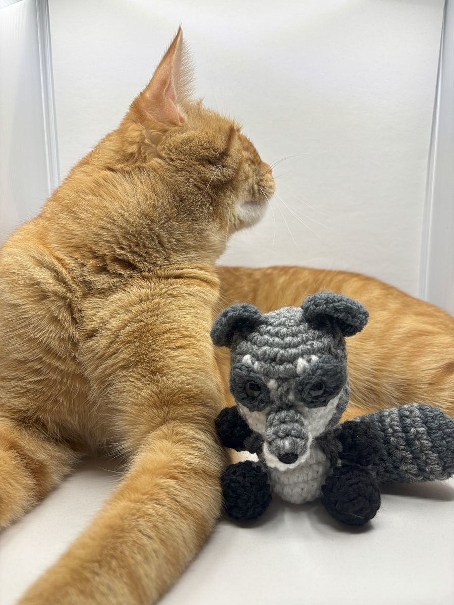 Trash Panda Friend product image (1)