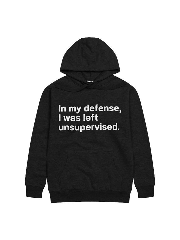 In my defense, I was left unsupervised. Unisex Hoodie product image (4)