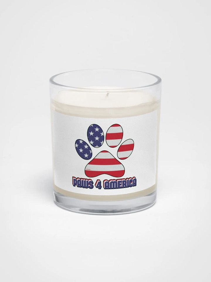 PAWS 4 AMERICA product image (1)