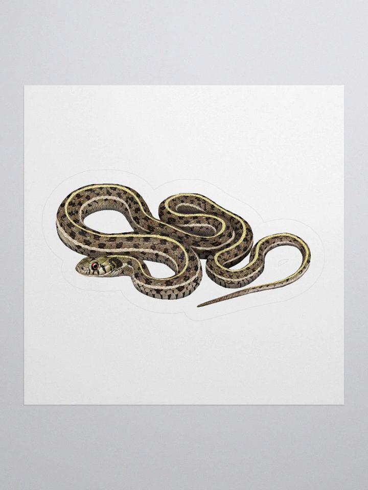 Die-Cut Sticker – Checkered Gartersnake product image (3)