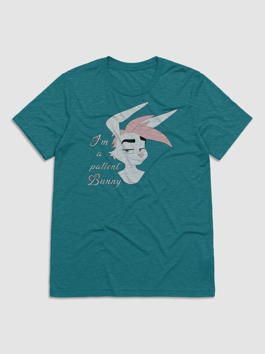 Oliver | Triblend T-shirt | Quote #1 product image (2)