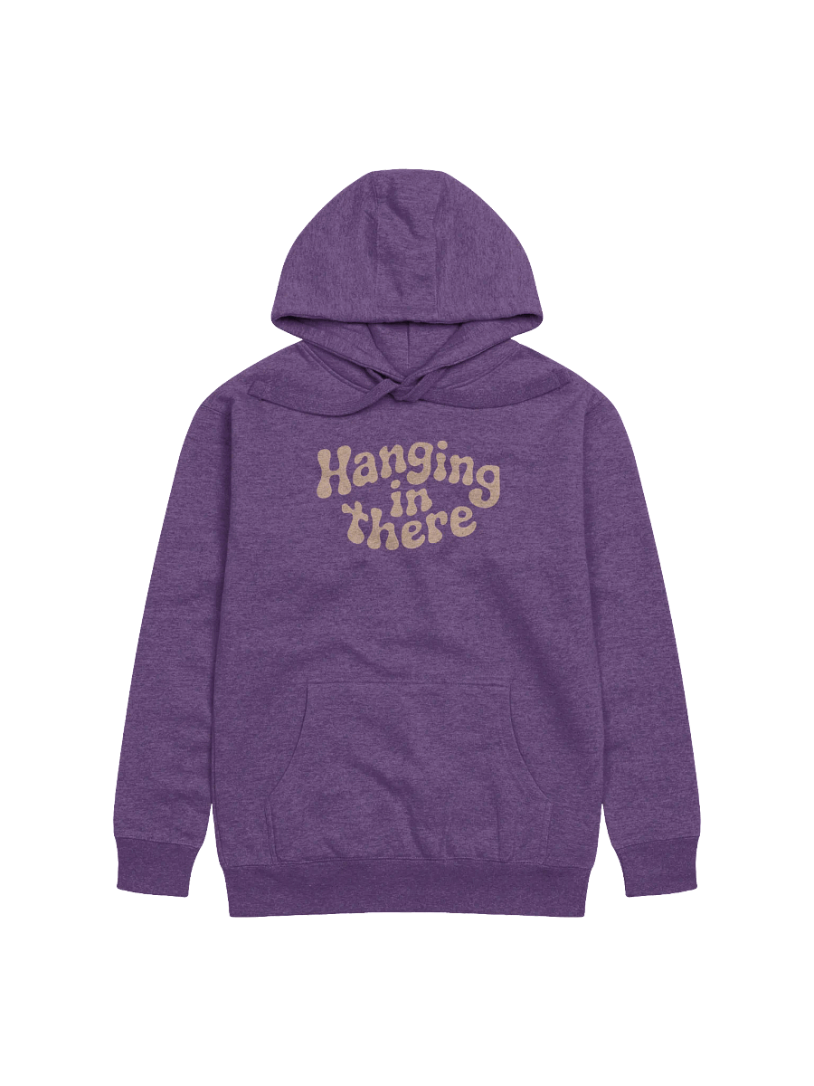 Hanging In There Hoodie product image (1)