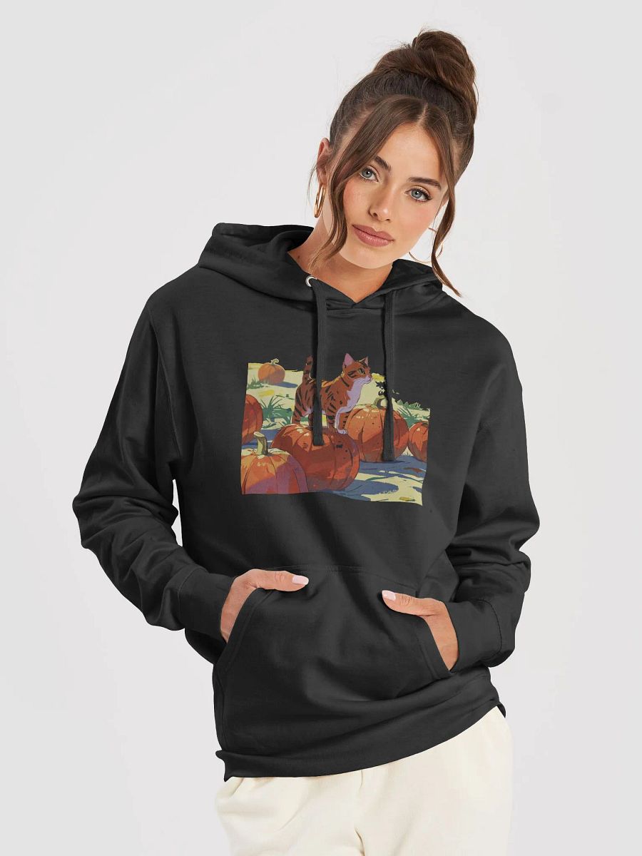 Whimsical Cat and Pumpkin Hoodie product image (10)