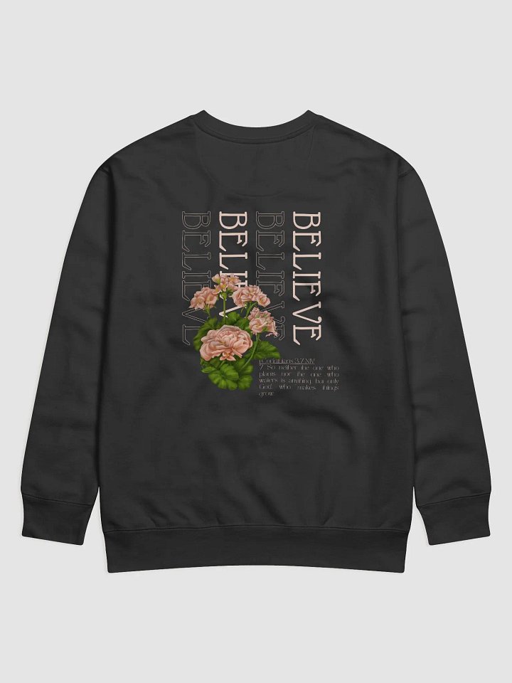 BELIEVE - SWEATER product image (7)