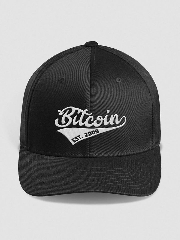 Louisville Silhouette Flexfit Cap 'Bitcoin' product image (1)