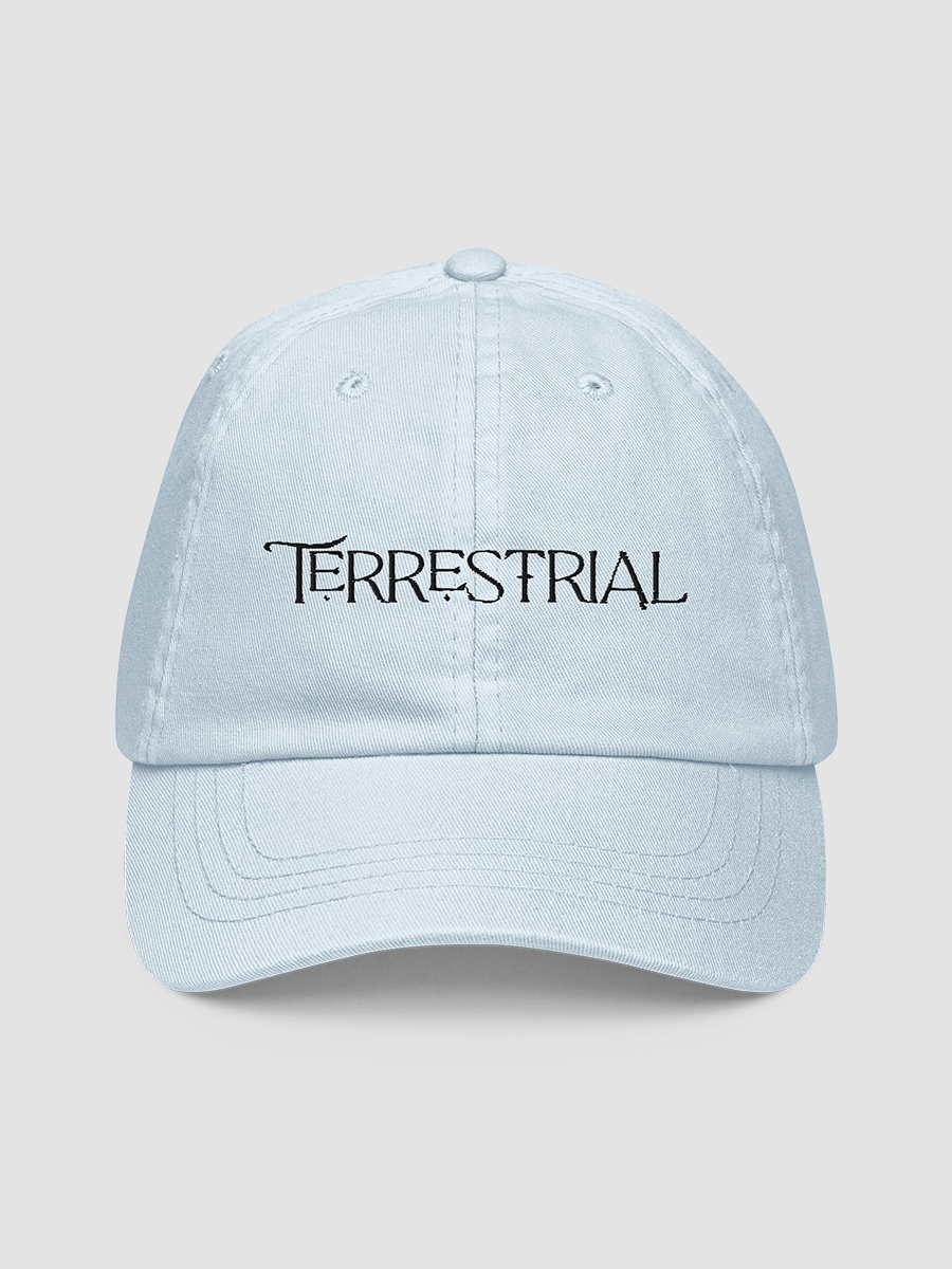 Terrestrial Logo Hat product image (4)
