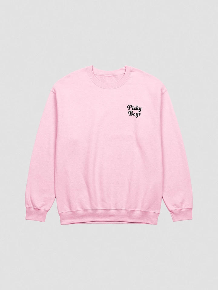 Picky Boys Embroidered Crewneck Sweatshirt (6 Colors) product image (1)