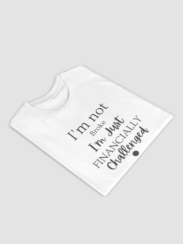 Financially Challenged Unisex Tee product image (2)