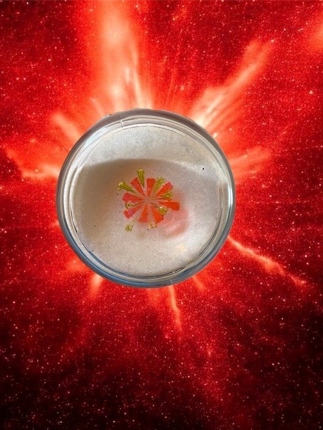 Autonomous product image (8)
