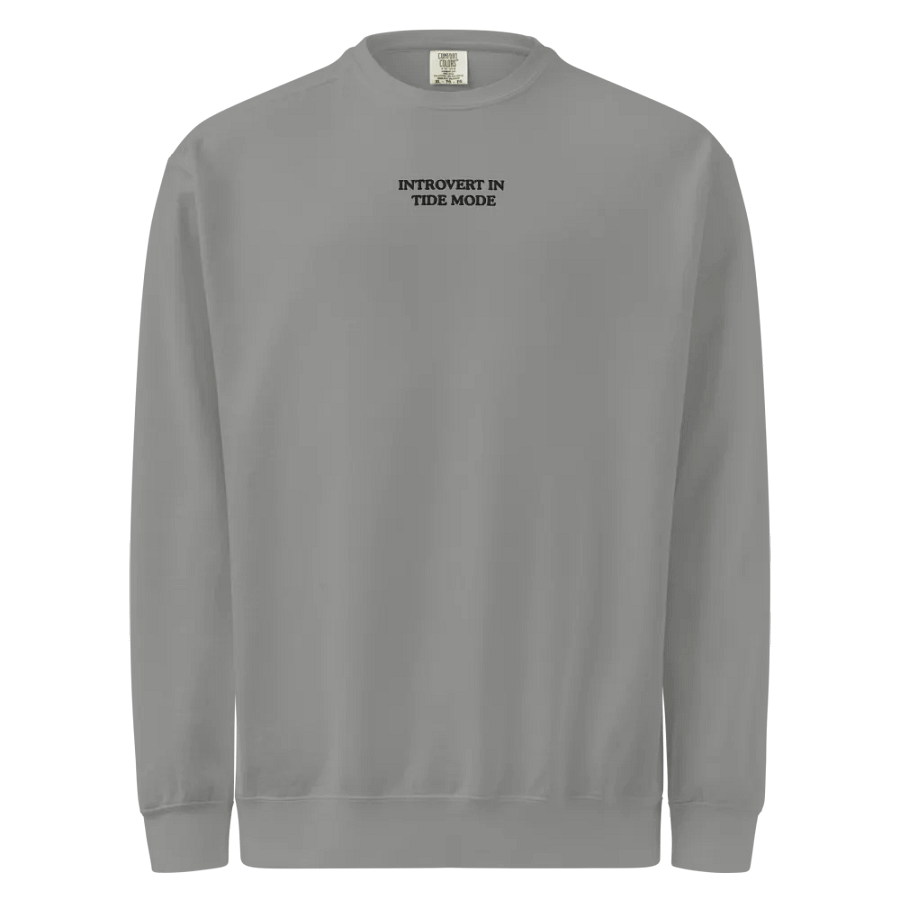 Introvert In Tide Mode Embroidered Sweatshirt product image (2)