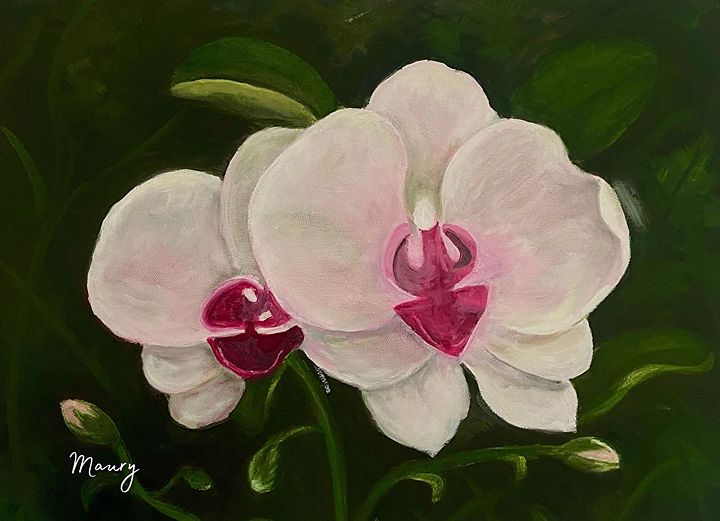 Orquídea Blanca product image (1)