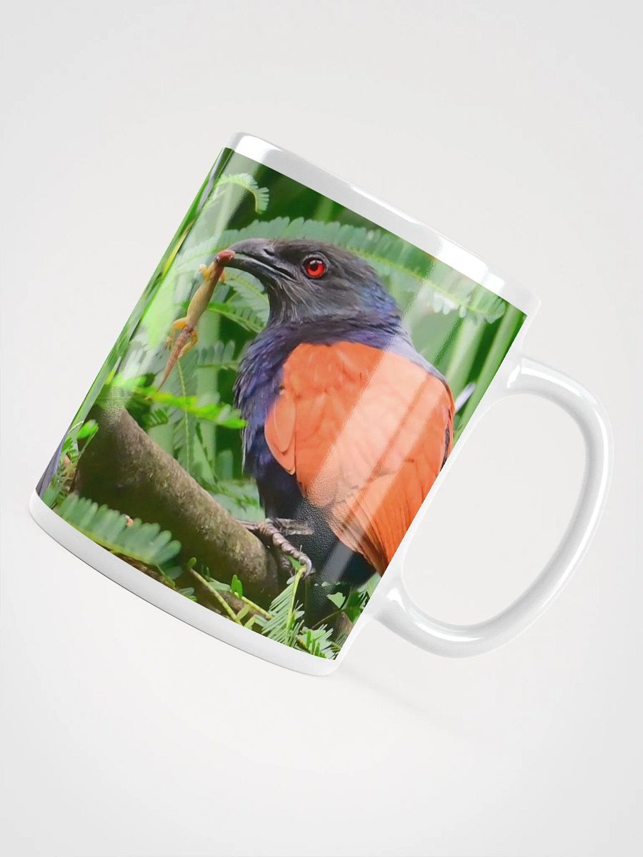 IUCAA Birds MUG product image (4)