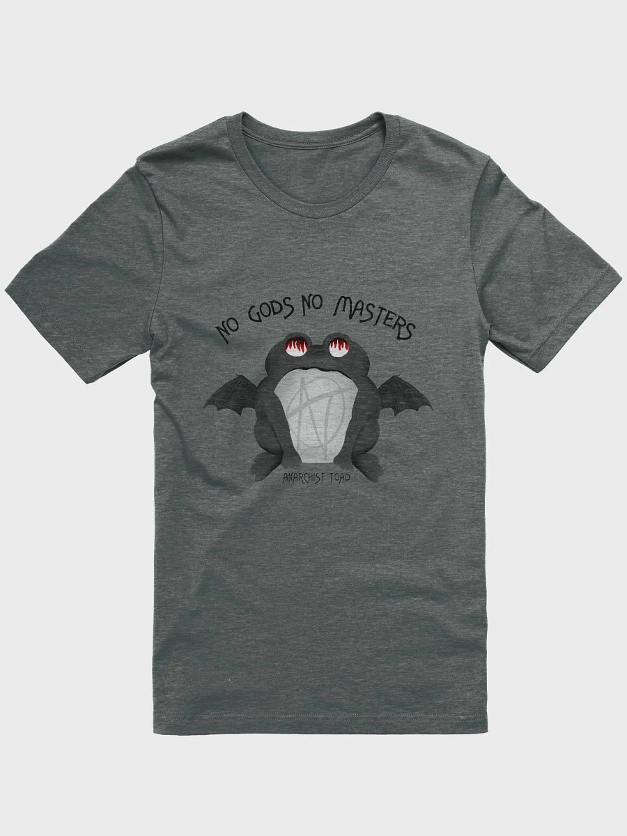 No Gods No Masters T-Shirt product image (3)