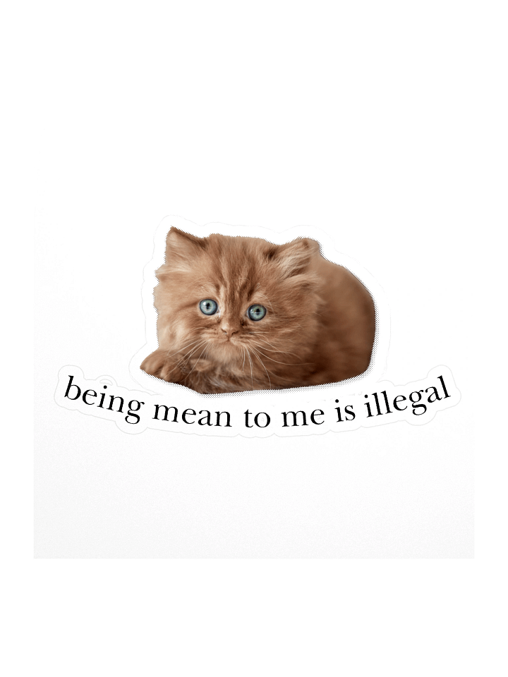 Being mean to me is illegal sticker product image (1)