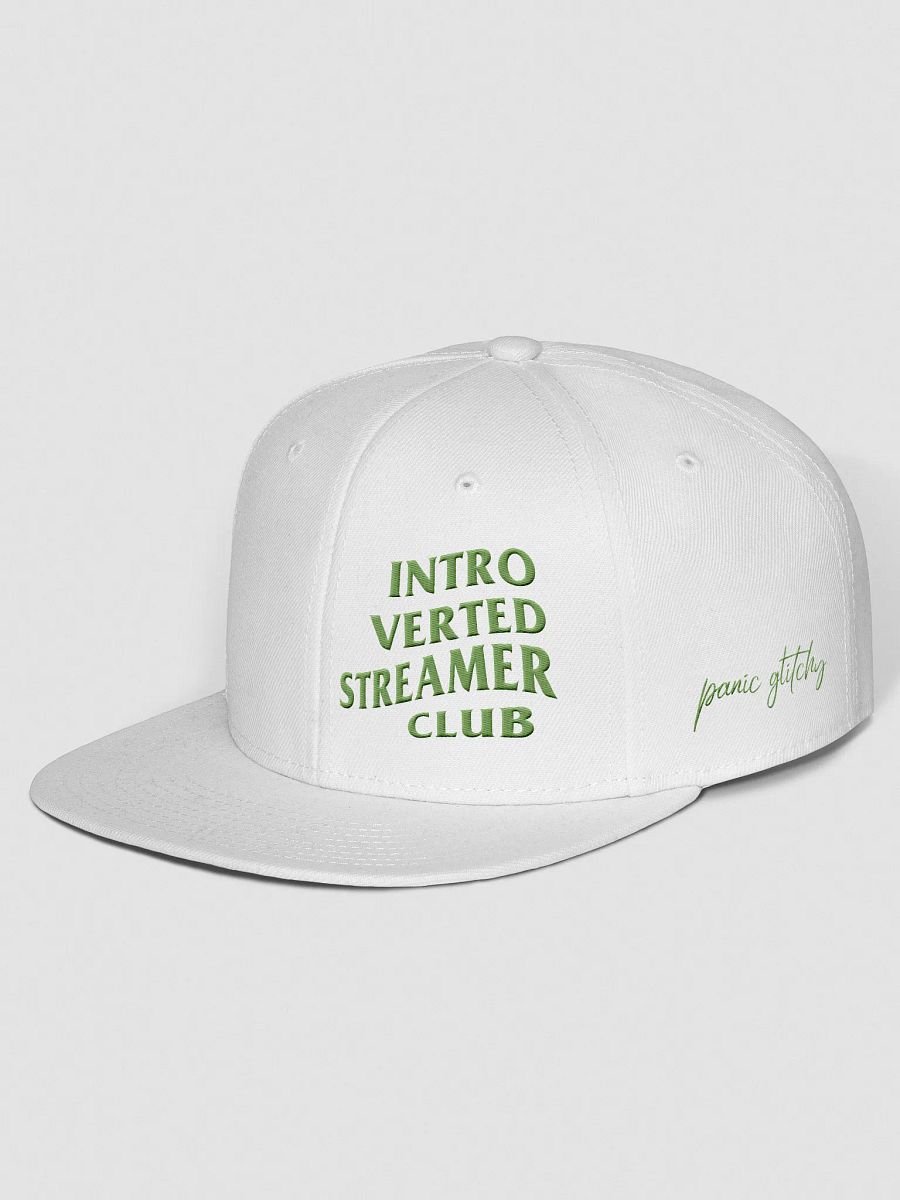 Introverted Streamer Club "Team Green" Snapback product image (2)