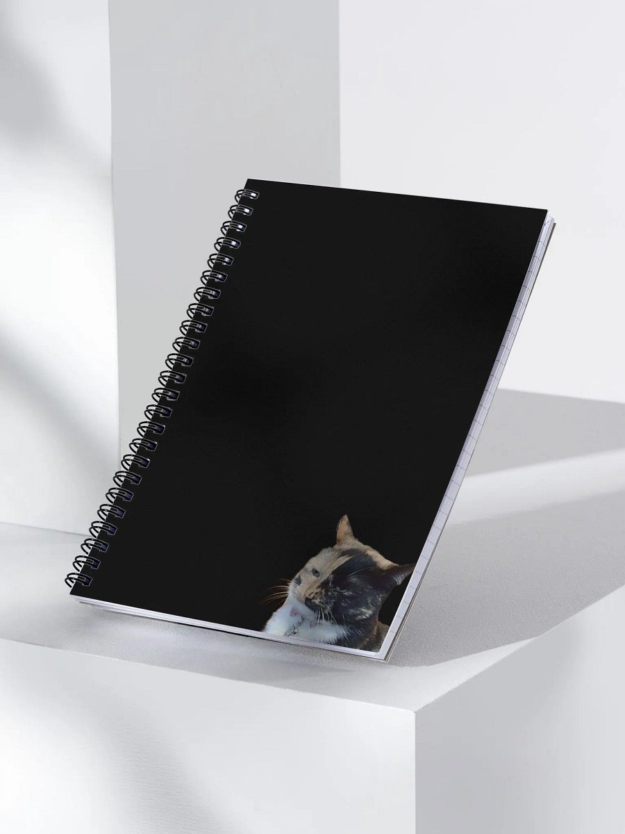 Sus Lyra Notebook product image (4)