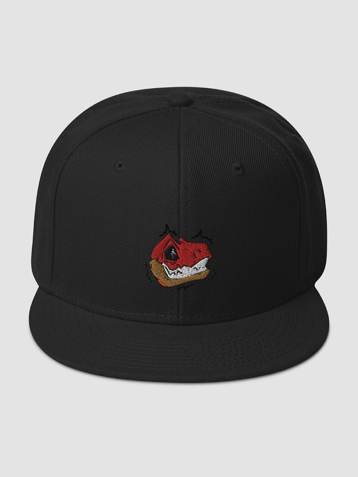 [roto_raptor] Snapback - Otto Cap 125-978 product image (1)