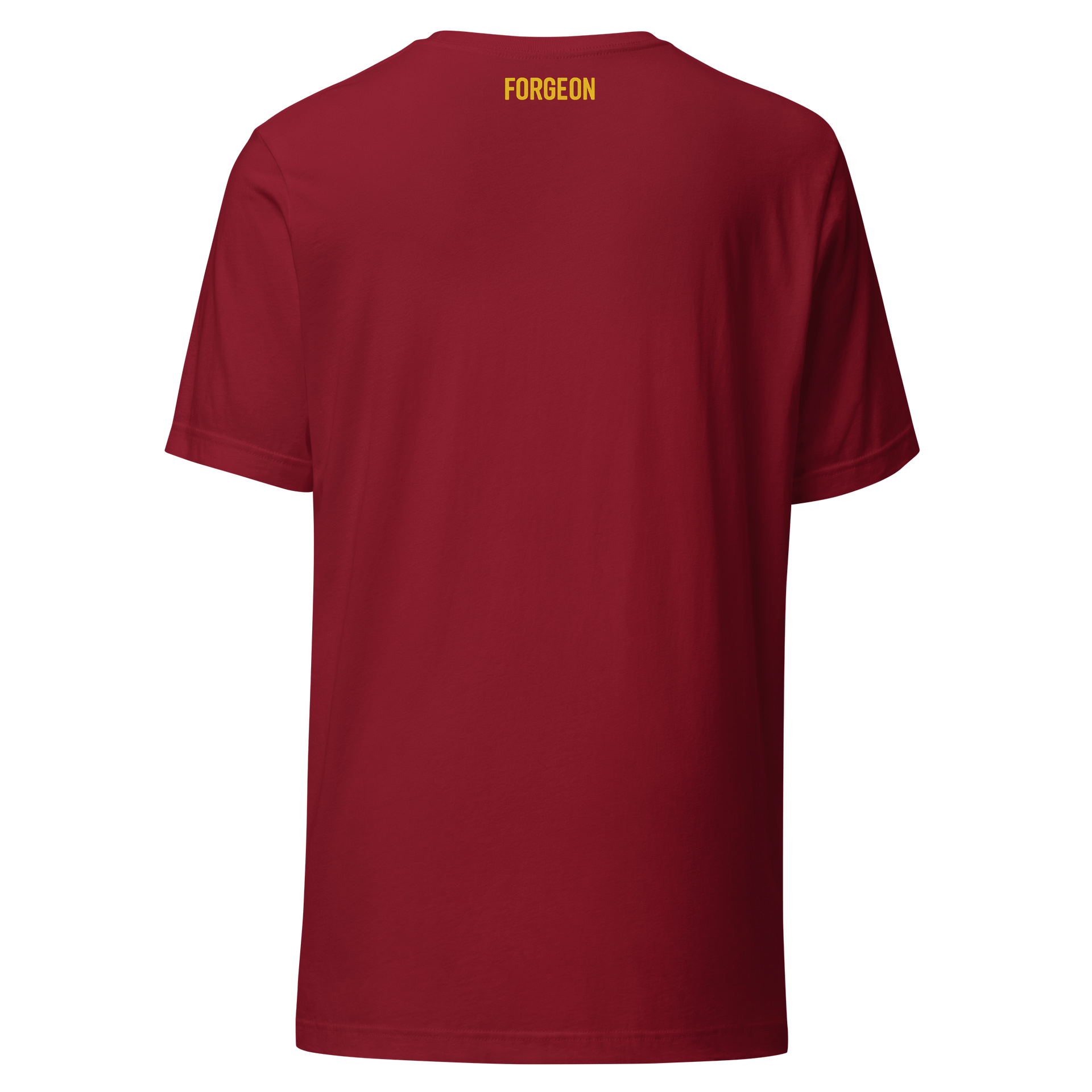 Strength Is Everything – Forged. Not Born. product image (43)