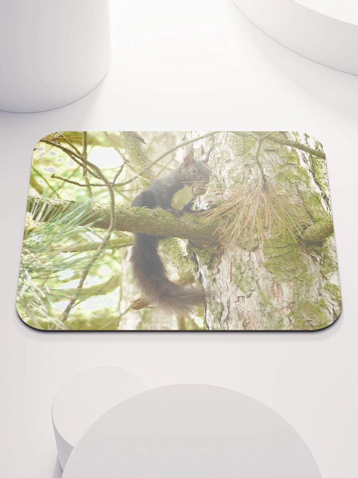 Classic Mouse Pad - The Eurasian red squirrel product image (1)