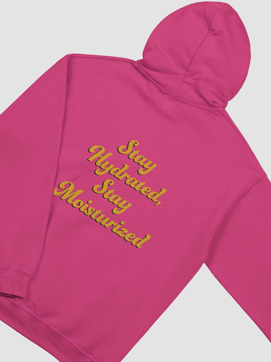 Article 6 - Health (Light) Hoodie product image (4)