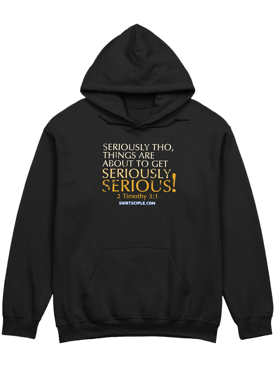 Seriously Serious Hoodie product image (3)