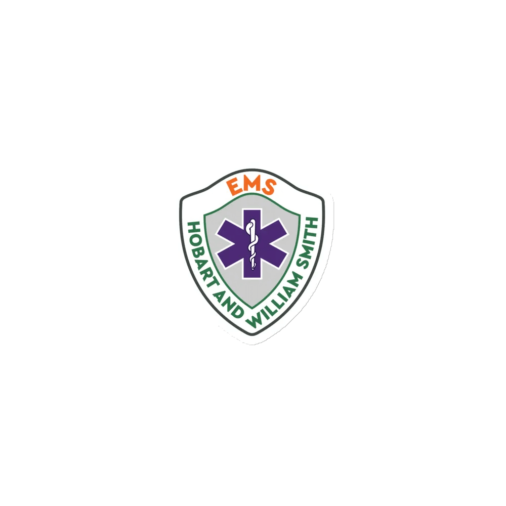 HWS EMS Magnets product image (1)