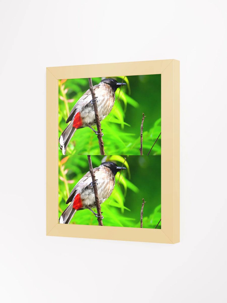 IUCAA Birds Photos product image (7)