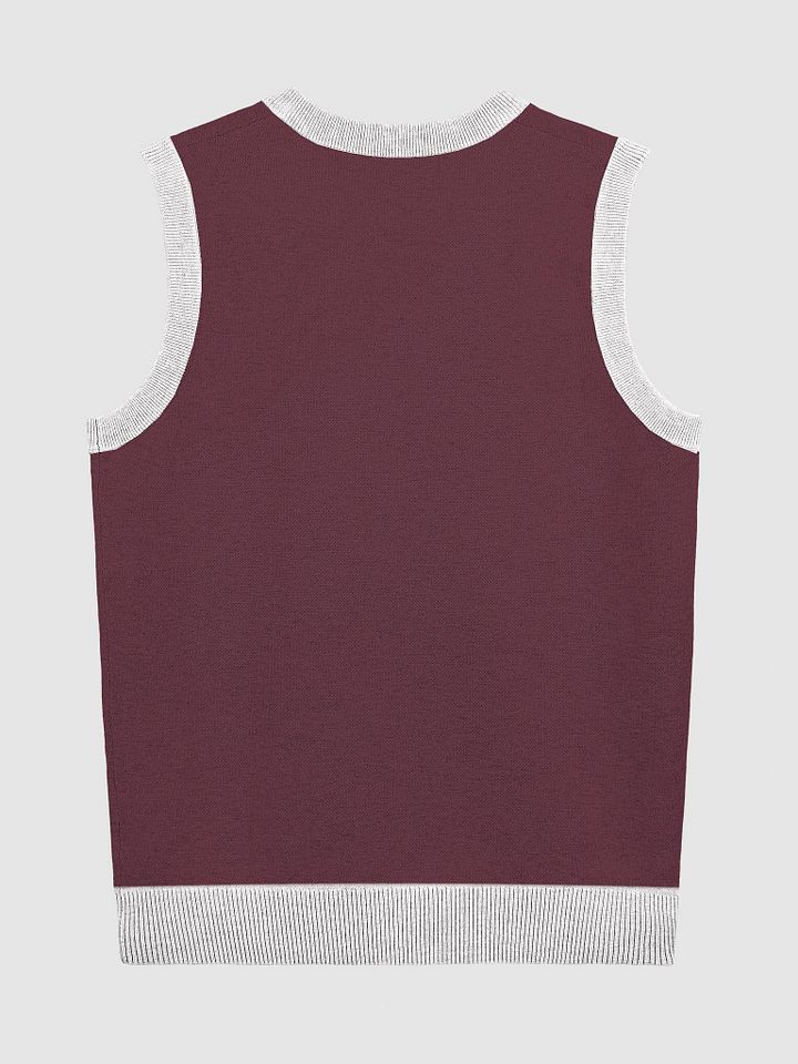 Alternate Sweater Vest product image (2)