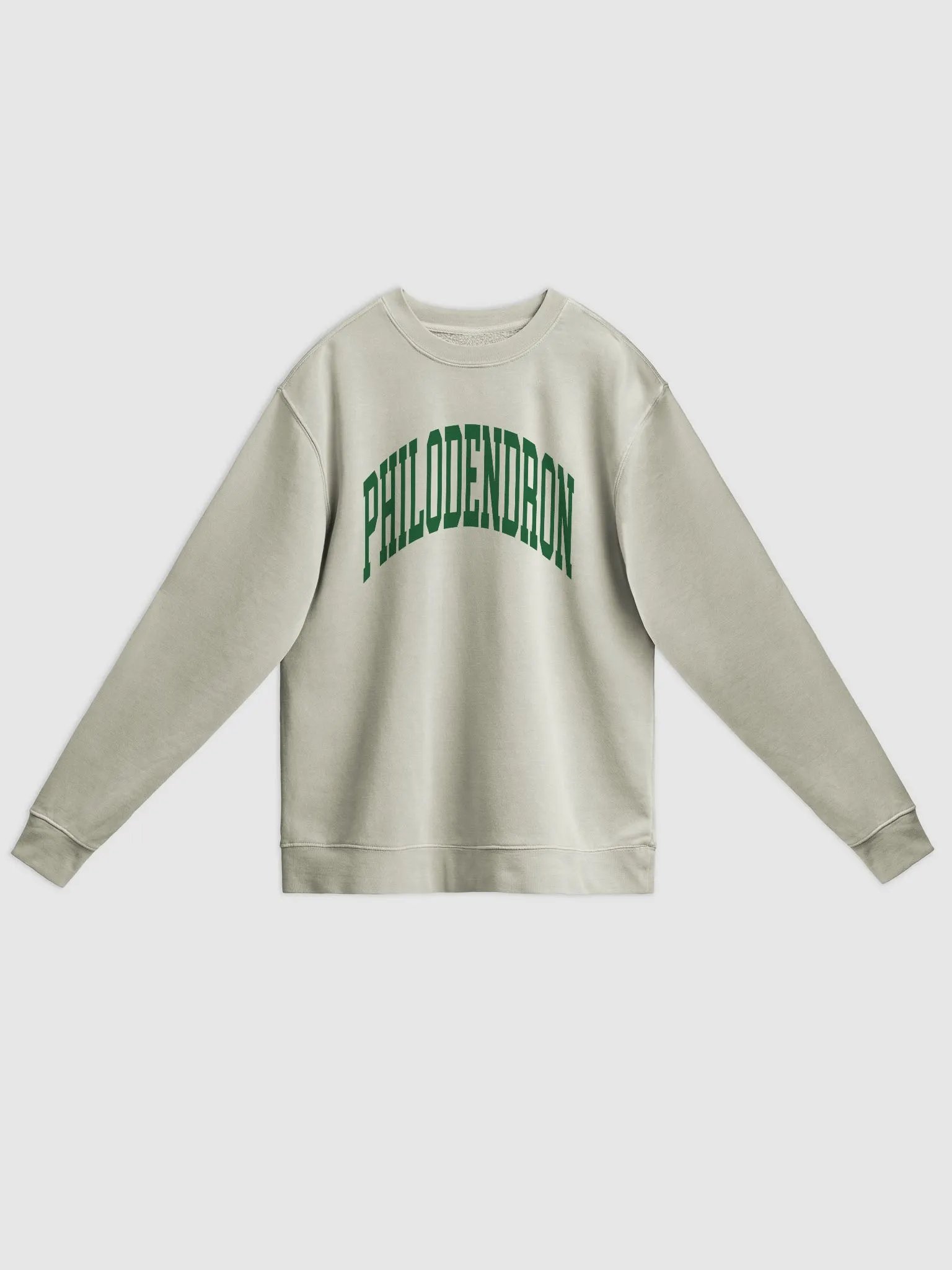 PHILODENDRON varsity unisex midweight pigment dyed crewneck product image (1)