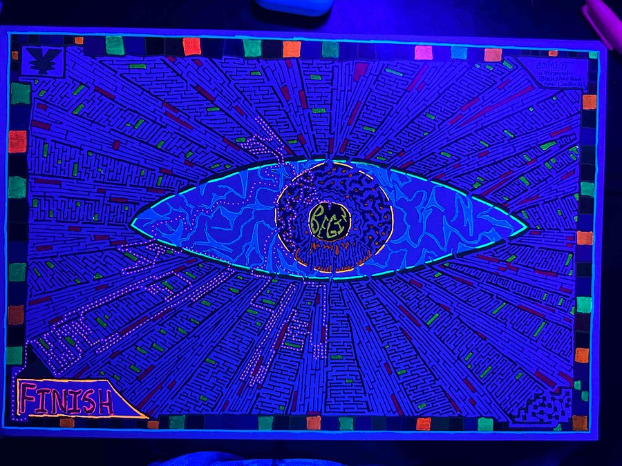 aminEYE ~Enhanced~ Black Light Answer Key Version product image (2)