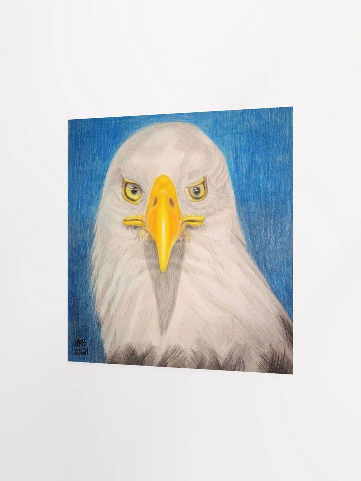 Bald Eagle Print product image (9)