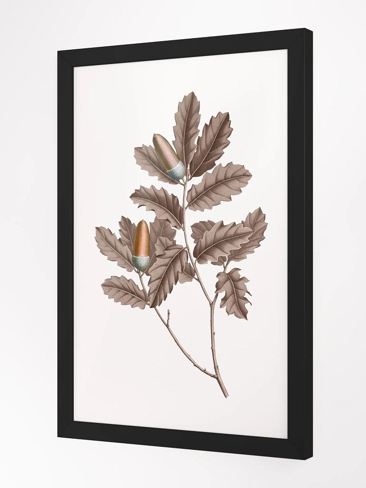 Ecotone Oak Leaves and Acorns Framed Print product image (2)