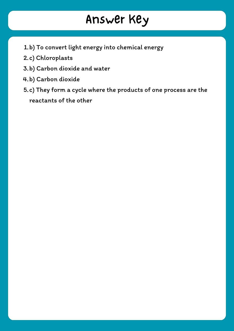 Photosynthesis and Cellular Respiration Reading Comprehension Passage with Questions product image (3)