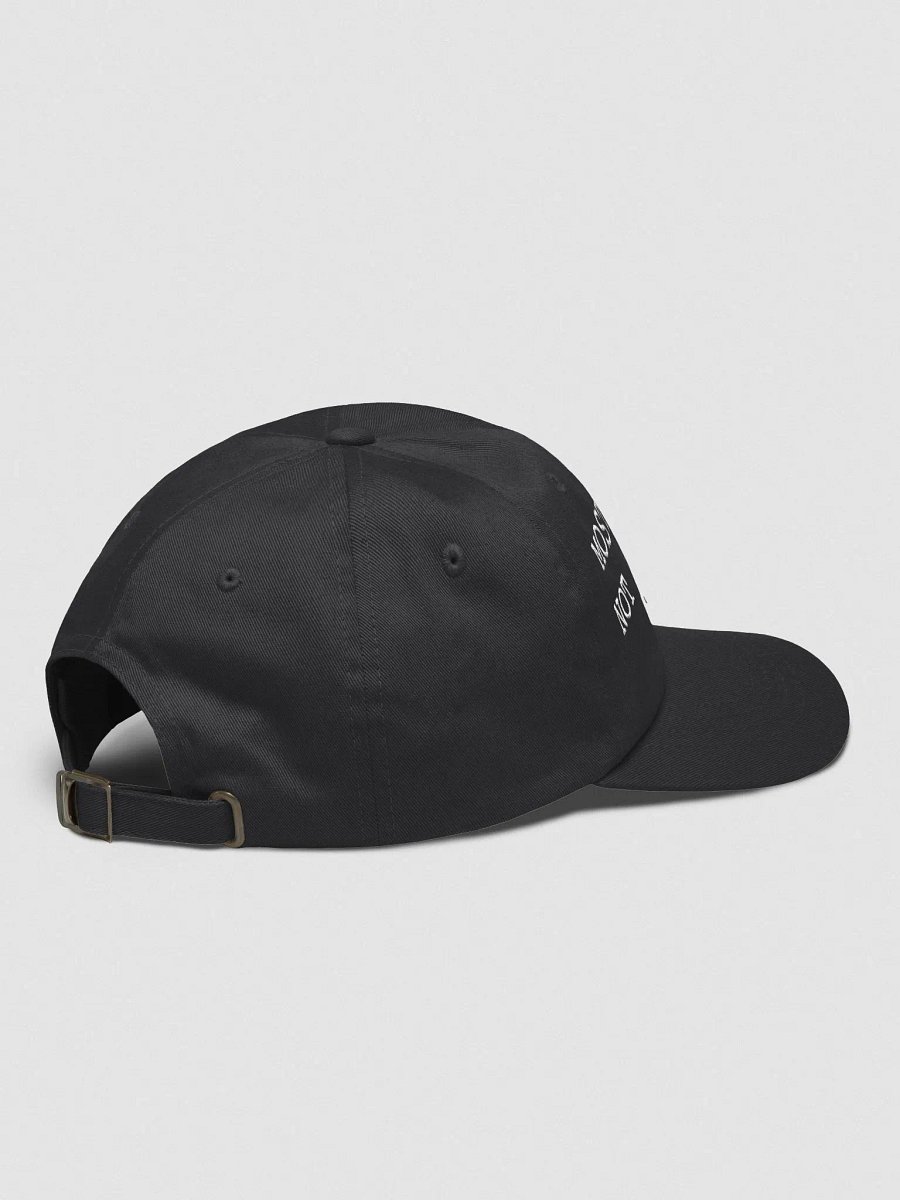 MOST LIKELY TO NOT GIVE A FUCK Classic Dad Hat product image (8)
