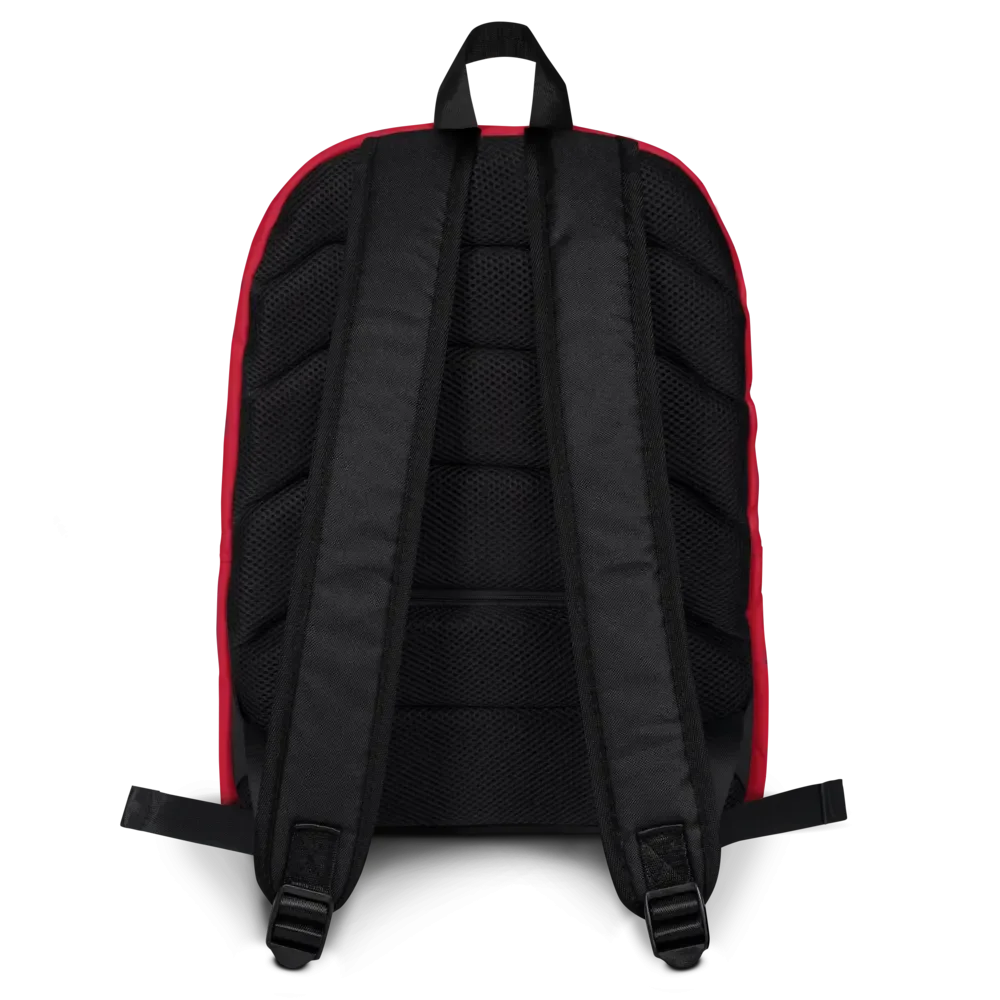 CG Youth Red Backpack product image (2)