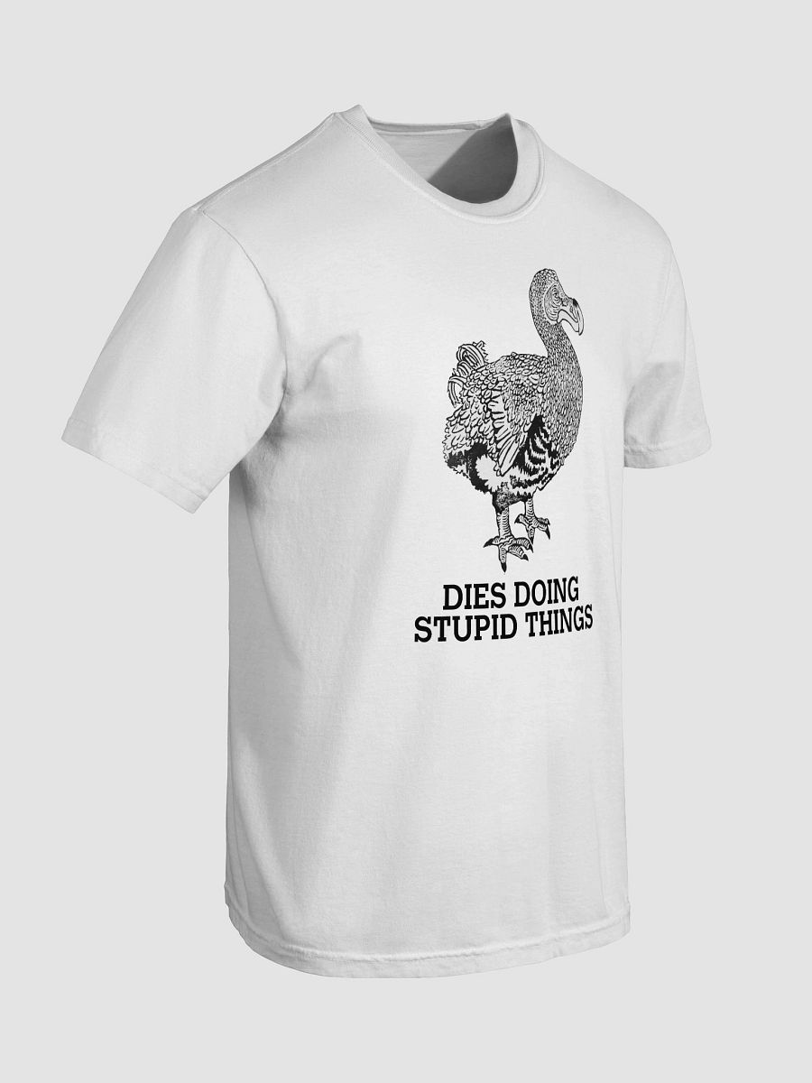 CHILL DODO HEAVYWEIGHT TEE product image (7)