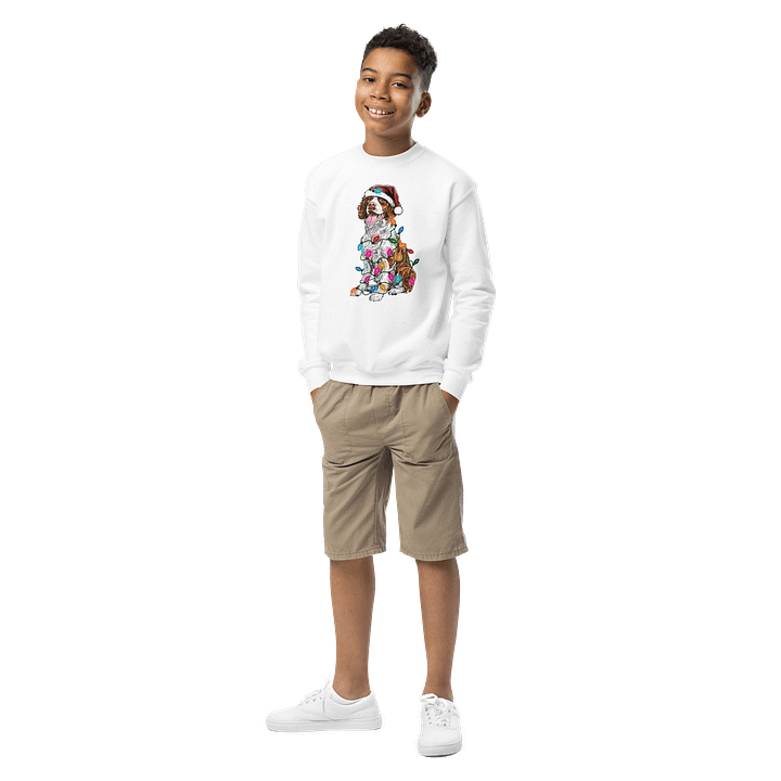 Funny Christmas Brittany Spaniel(Brown) Youth Sweatshirt product image (6)