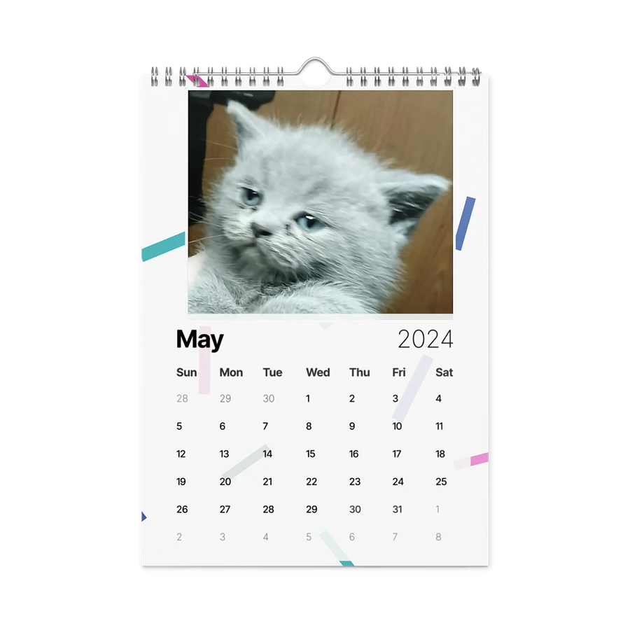 Wall Calendar (2024): Meme Cats product image (14)