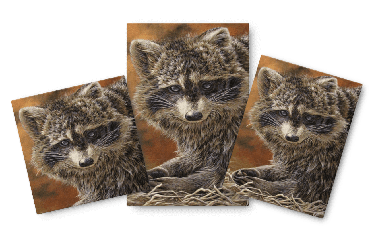 Raton/Racoon reproduction on/sur canvas product image (1)