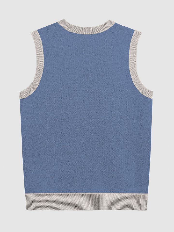 PLEASE DON'T MAKE ME TALK (blue and taupe) knitwear vest product image (9)