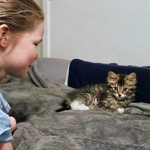 Do you think Bánh mì and Ana get along? 🐈
How do you think they interact with each other? 🤔 What are your thoughts about our ...